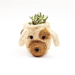 Animal Planter - Mini Pot Dog