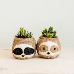 Animal Planter - Mini Pot 3-color Sloth