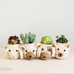 Animal Planter - Mini Pot Dog