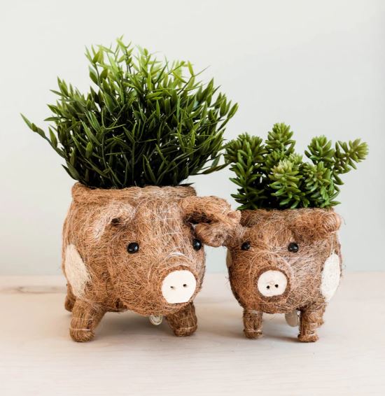 Animal Planter - Baby Pig