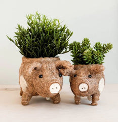 Animal Planter - Baby Pig
