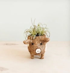 Animal Planter - Baby Pig