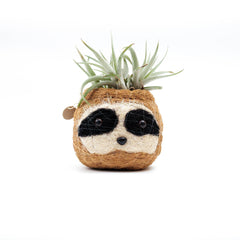 Animal Planter - Mini Pot 3-color Sloth