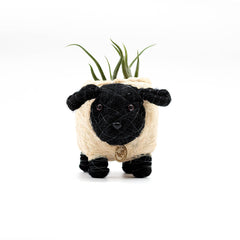 Animal Planter - Baby Sheep