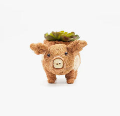 Animal Planter - Baby Pig