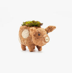 Animal Planter - Baby Pig