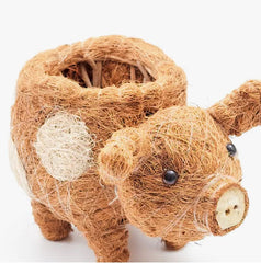 Animal Planter - Baby Pig