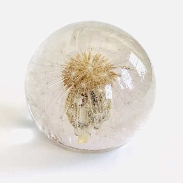 Sustainable Plant Based Eco-Resin Sphere Paperweight - Golden Moss – Lei-Lei