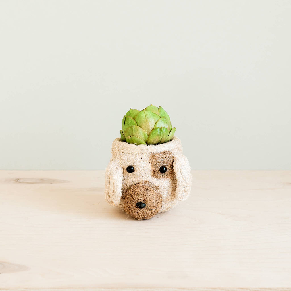 Animal Planter - Mini Pot Dog