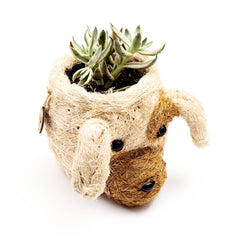 Animal Planter - Mini Pot Dog