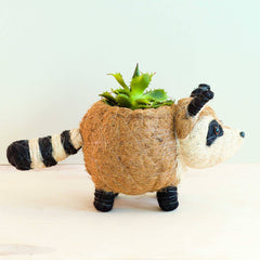 Animal Planter - Mama Raccoon