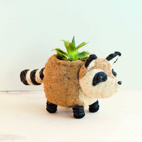 Animal Planter - Mama Raccoon