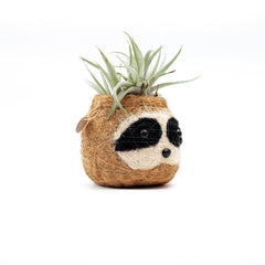 Animal Planter - Mini Pot 3-color Sloth |
