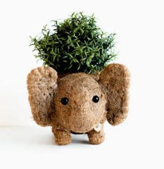 Baby Elephant Planter