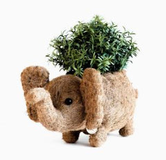 Baby Elephant Planter