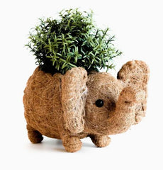 Baby Elephant Planter