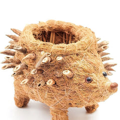 Animal Planter - Baby Hedgehog