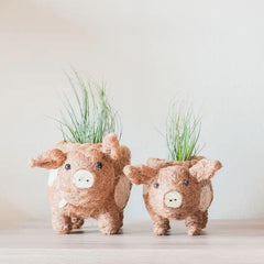 Animal Planter - Baby Pig