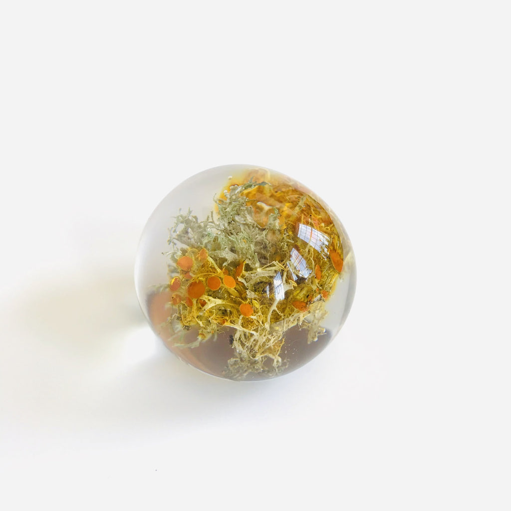 Sustainable Plant Based Eco-Resin Sphere Paperweight - Golden Moss – Lei-Lei