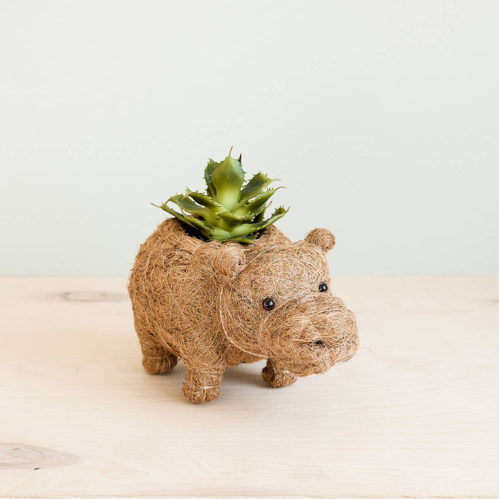 Animal Planter - Baby Hippo
